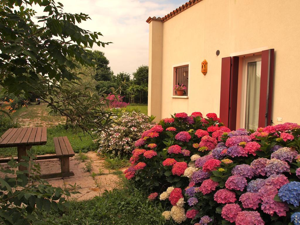 Agriturismo Il Magicorto Cassola Cameră foto
