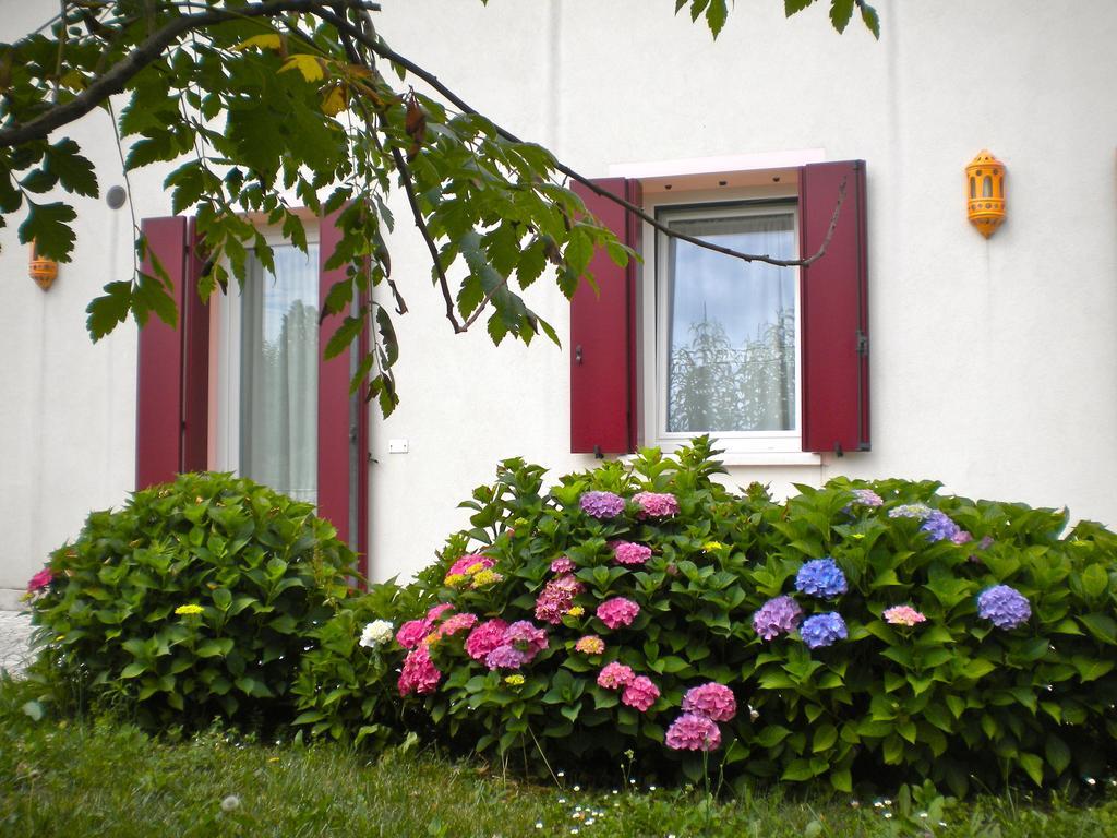 Agriturismo Il Magicorto Cassola Cameră foto