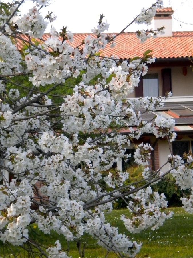 Agriturismo Il Magicorto Villa Cassola Exterior foto