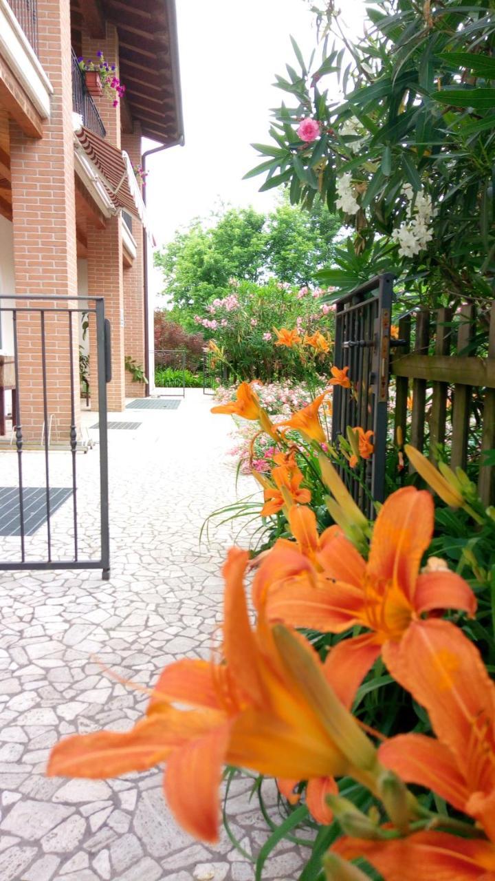 Agriturismo Il Magicorto Cassola Exterior foto