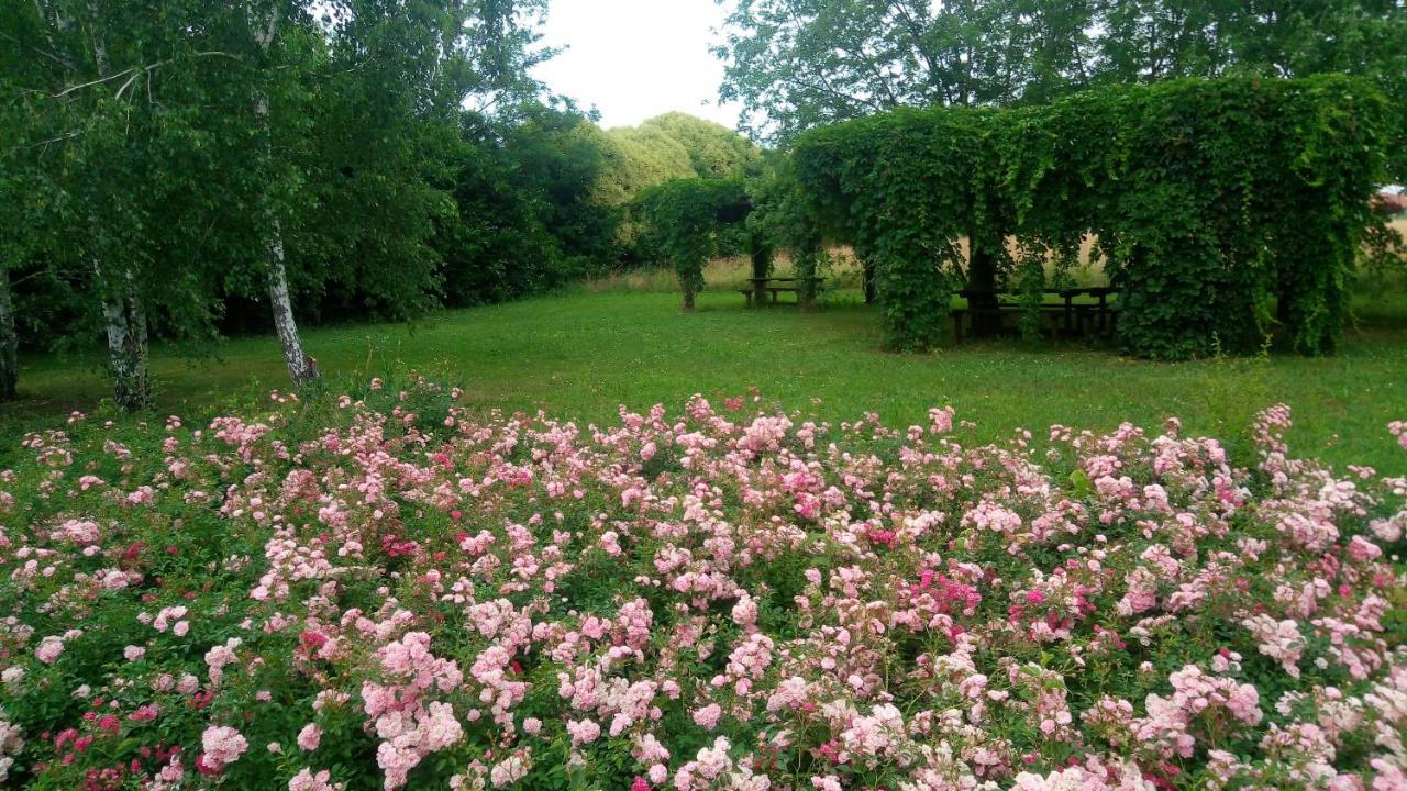 Agriturismo Il Magicorto Cassola Exterior foto