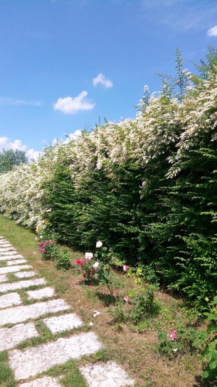 Agriturismo Il Magicorto Villa Cassola Exterior foto